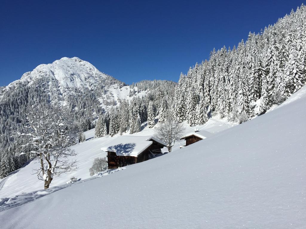 Das Alpbach Juwel Exterior photo